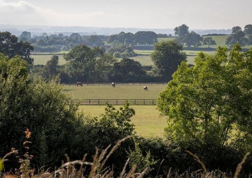 Gutchpool Farm main image