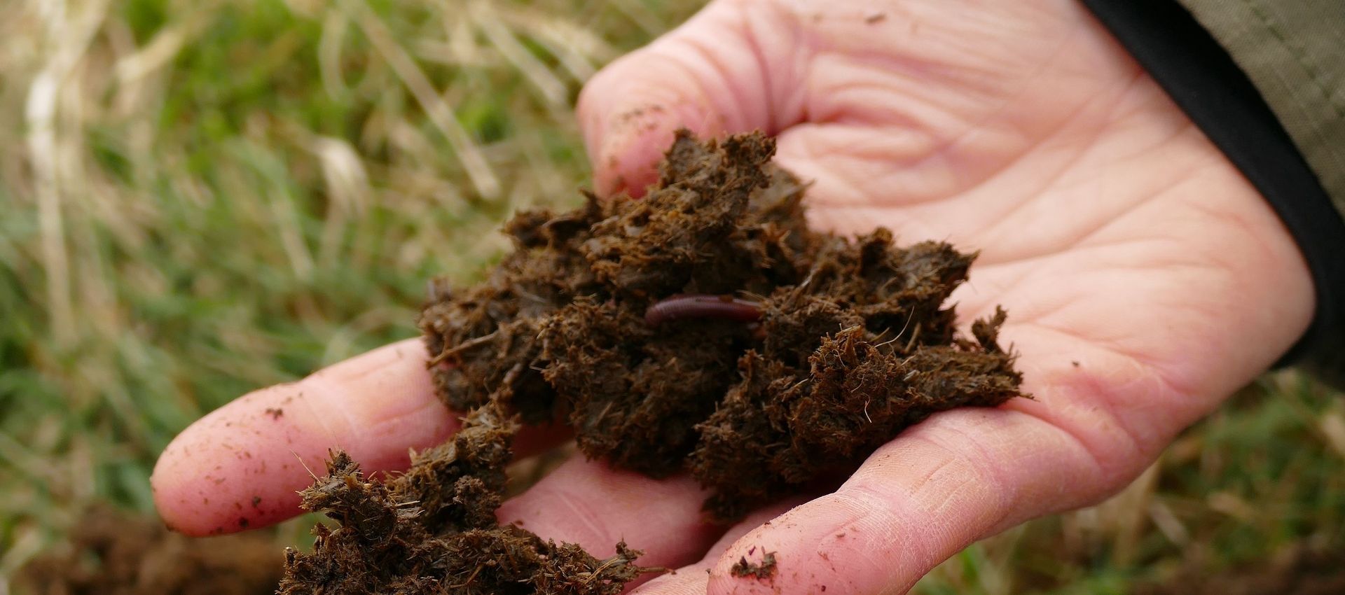 Soil being shown in palm of hand