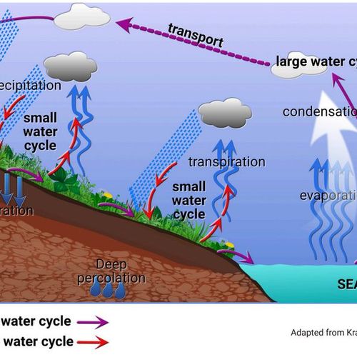 Water Cycle