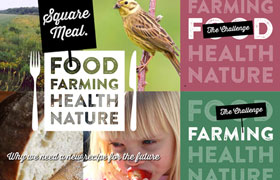Square Meal report calls for fundamental changes in UK food and farming