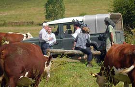 Pasture-Fed on BBC Countryfile