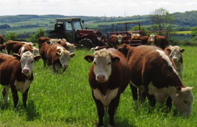 The Pasture-Fed Livestock Association urges the Brexit Government to take control of food, farming and fisheries