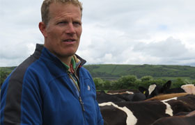 Producing healthy milk with no concentrates