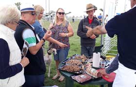 Pasture for Life animals and meat tasting at the  Moreton Show