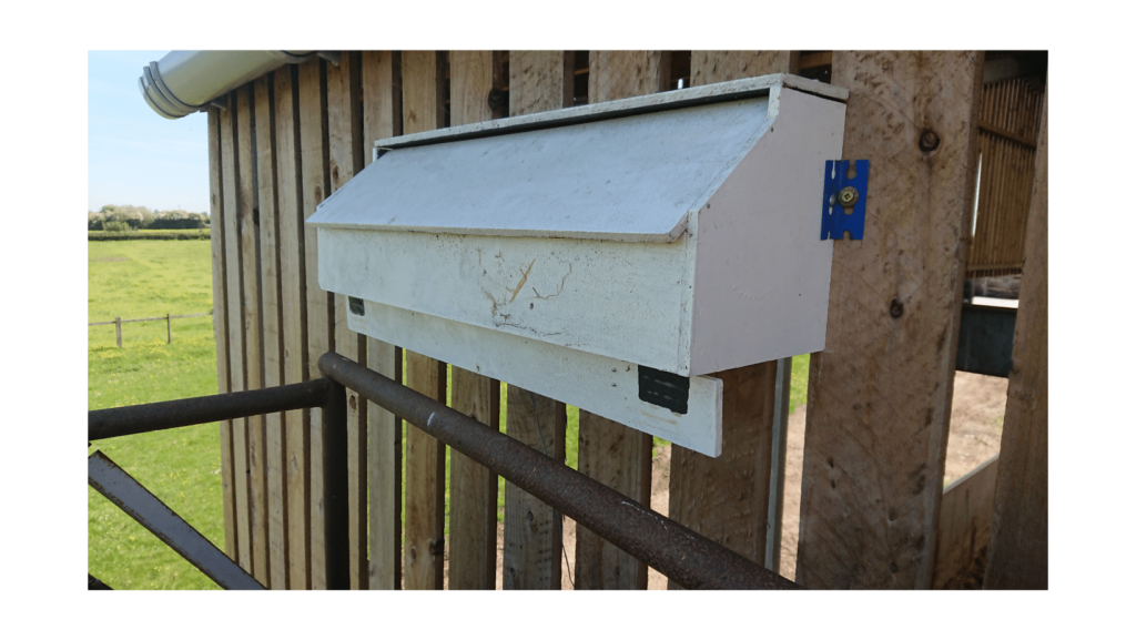 Swift nest box built by Andy