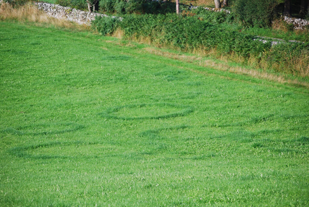 Fairy rings