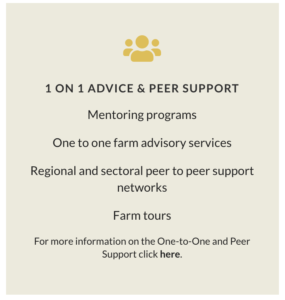 1 on 1 advice and peer support