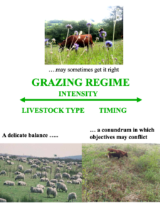 Grazing regime