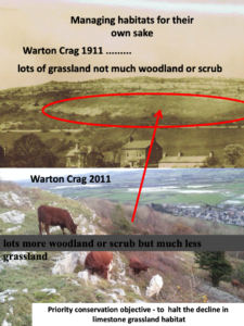 Managing habitats for their own sake