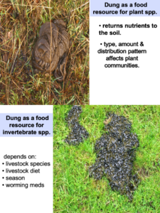 Benefits of dung