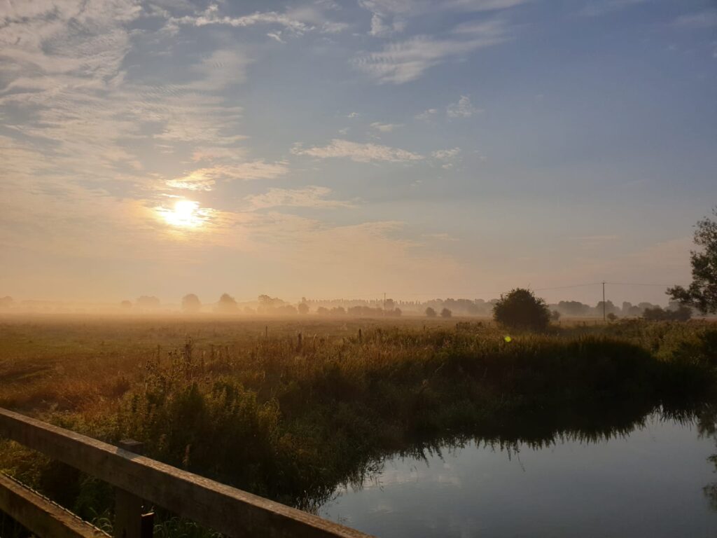 Meadows in the mist