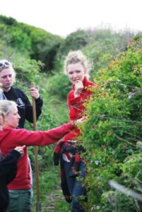 Foraging the fruits of a biodiverse landscape