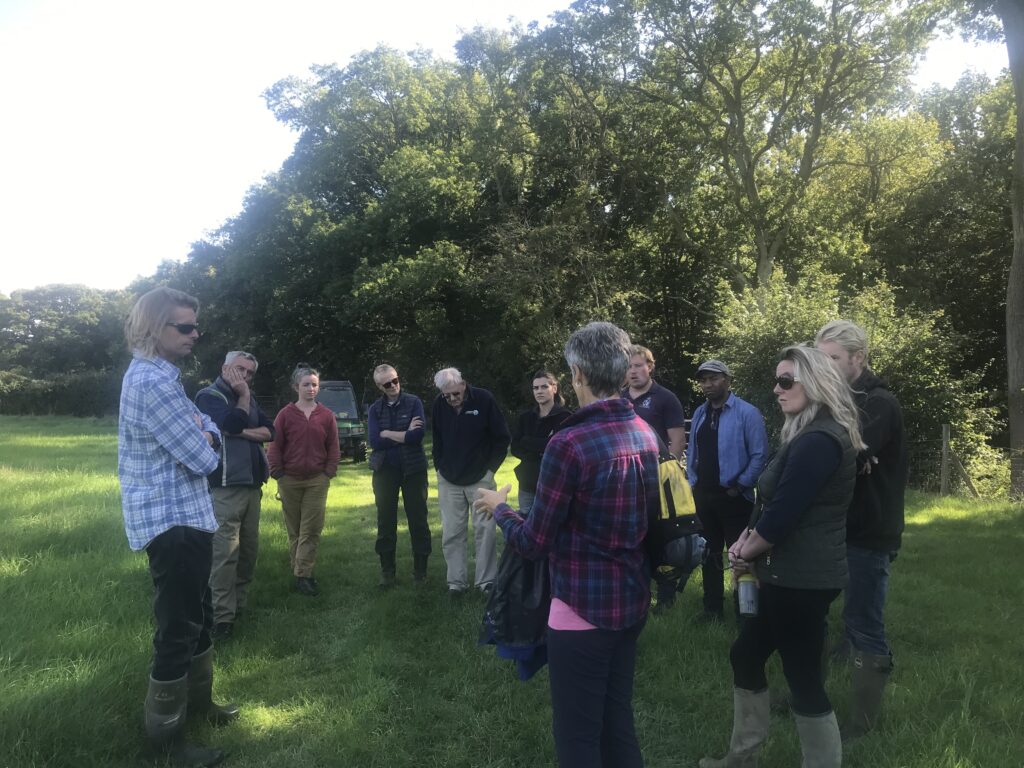 Farmer visit to Danesfold Farms certified Pasture for Life to look at pasture pasture management in the early autumn led by Olly Martin