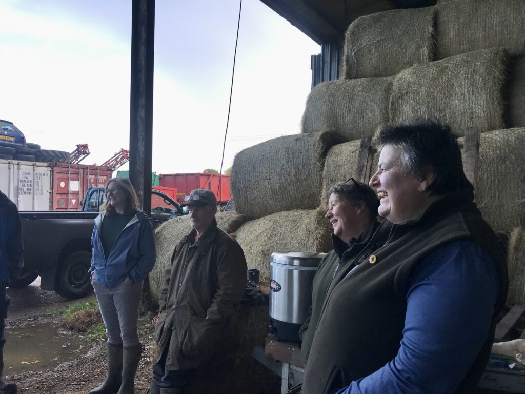 Farmers visiting Lomas Farm, Kent to learn how David Cornforth manages his pasture and was able to grow grass for his beef cattle despite the severe drought over the summer of 2022.