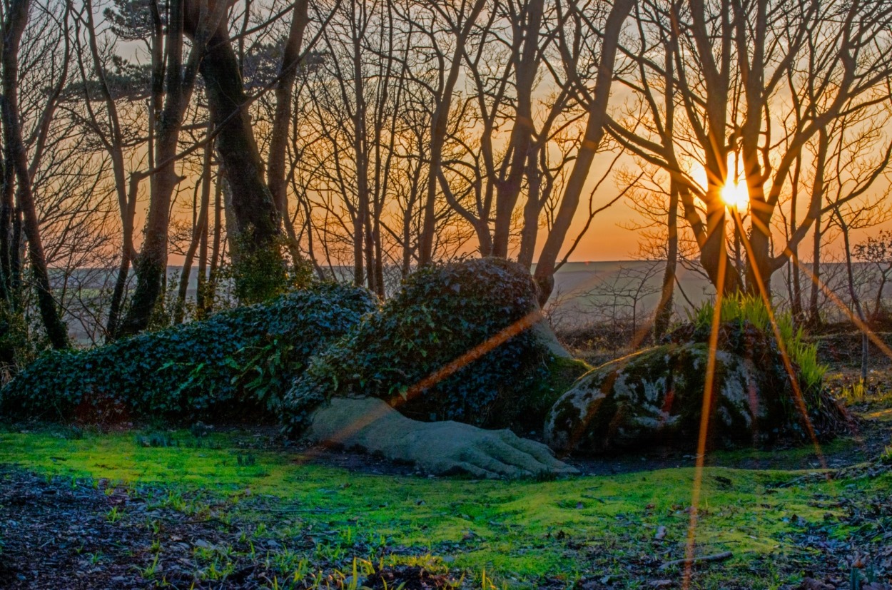 PfL at the Lost Gardens of Heligan, Cornwall
