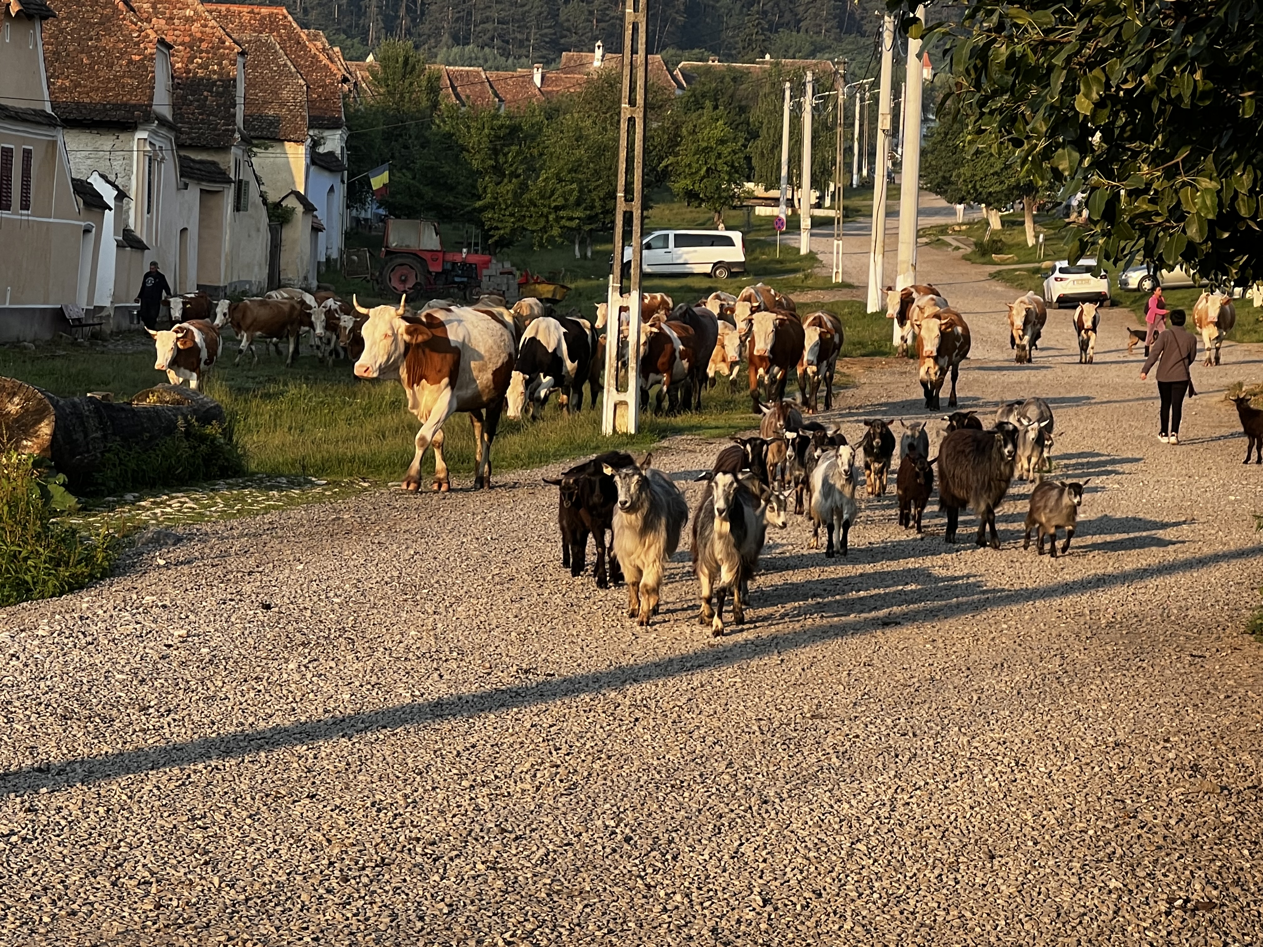 Study trip to Transylvania