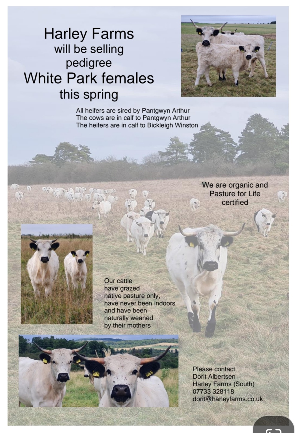 Marketplace Ads Archive Pasture for Life Certified 100 grassfed