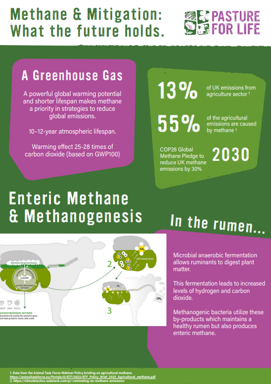 Methane and Mitigation: What the future holds