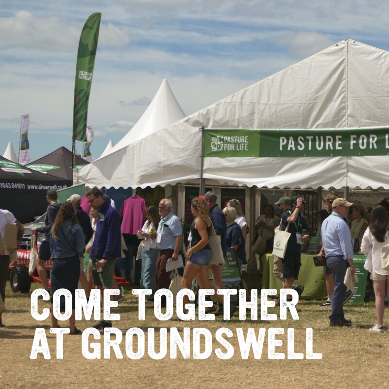 Groundswell for Everyone